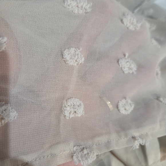 Zenana Swiss Dot Babydoll V-Neck Dress - Picture 8 of 8